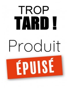 Lampe jielde deux bras patine rouge 2