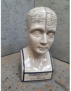 statue tête de phrénologie en faïence hauteur 29 cm