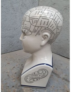 statue tête de phrénologie en faïence hauteur 29 cm 2