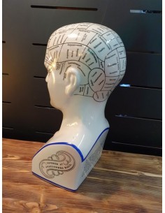 Statue tête de phrénologie en faïence hauteur 39 cm médecine 2