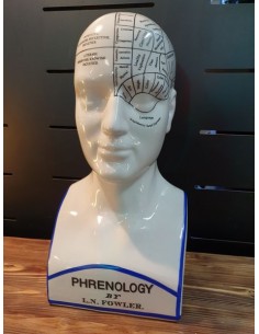 Statue tête de phrénologie en faïence hauteur 39 cm médecine