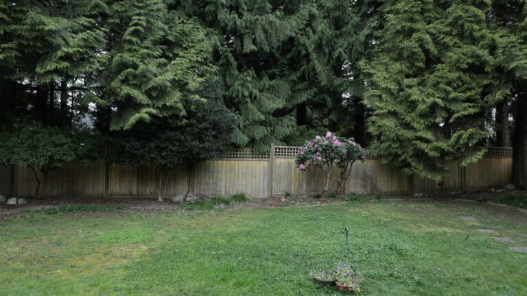 Quels arbres planter le long d’une clôture pour l’intimité ?